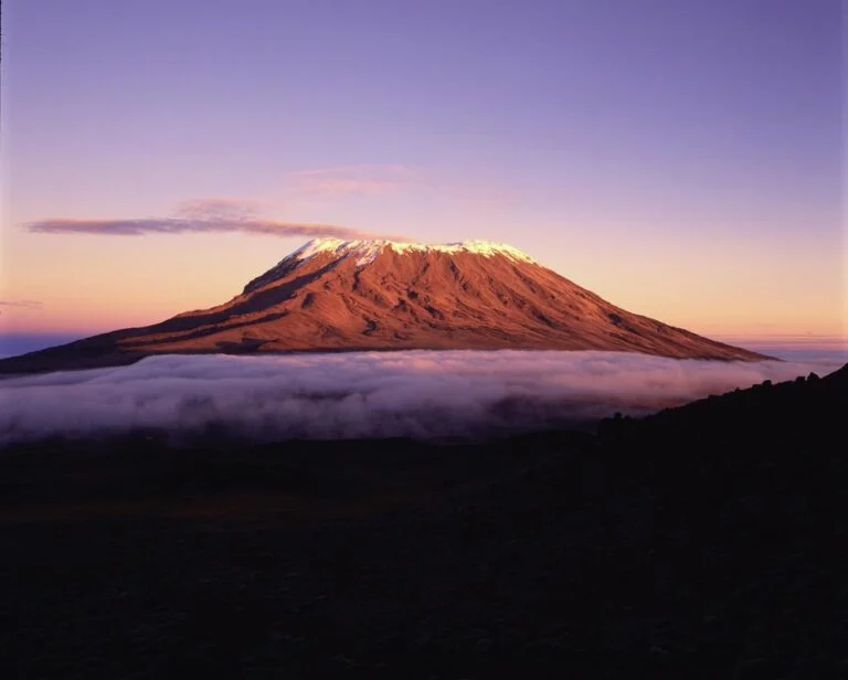 10 Days Kilimanjaro Northern Circuit Route – Roshack Adventures Safaris