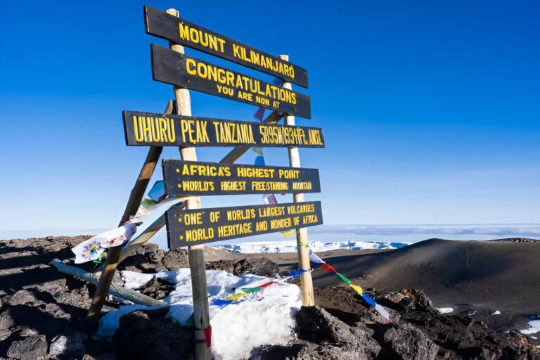 7 Days Kilimanjaro Rongai Route - Roshack Adventures Safaris