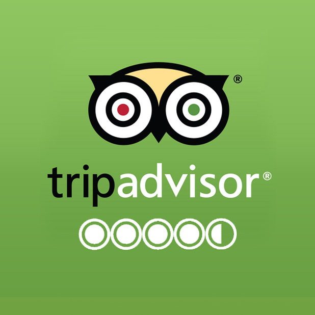 TripAdvisor logo