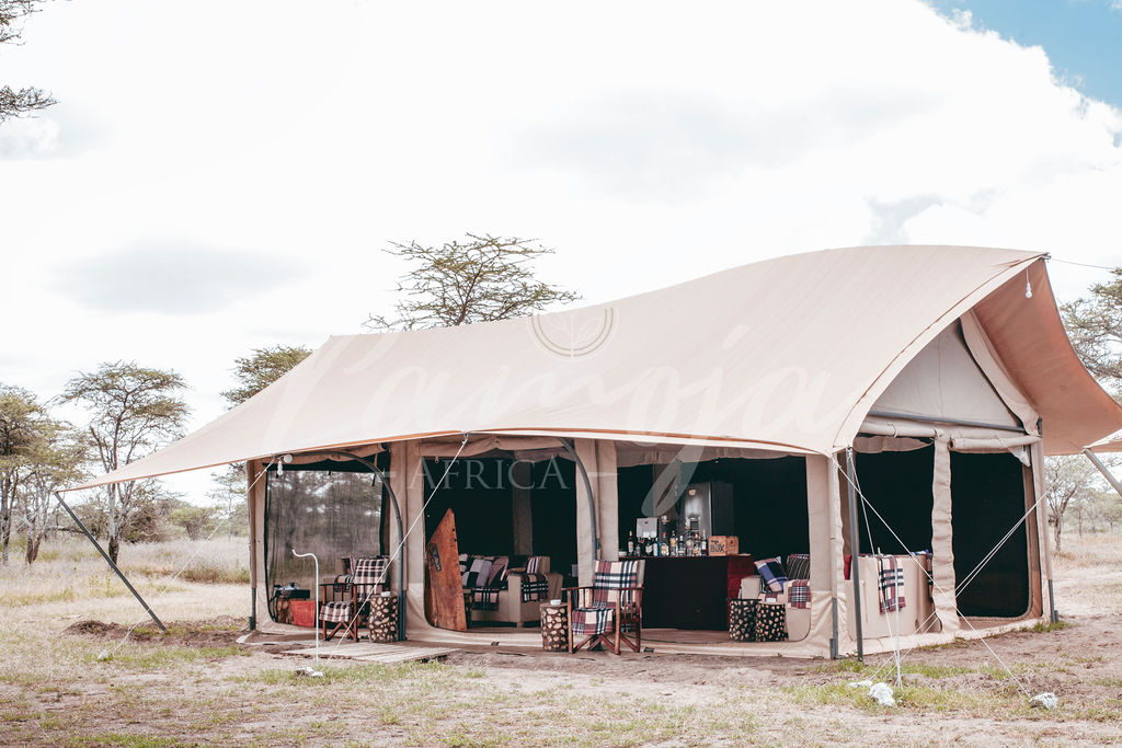 Safari Gallery - Roshack Adventures Safaris