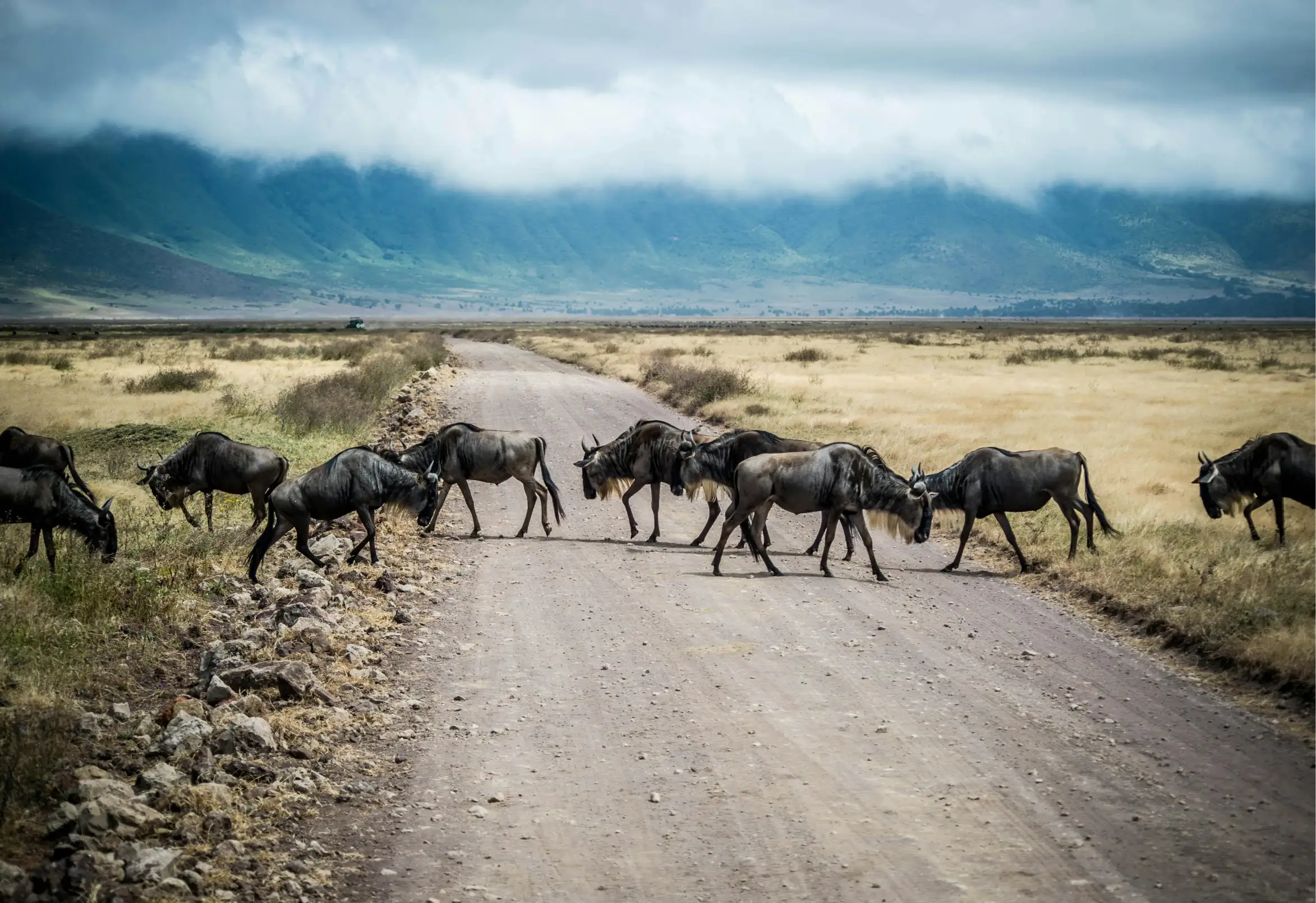 LAKE MANYARA NATIONAL PARK