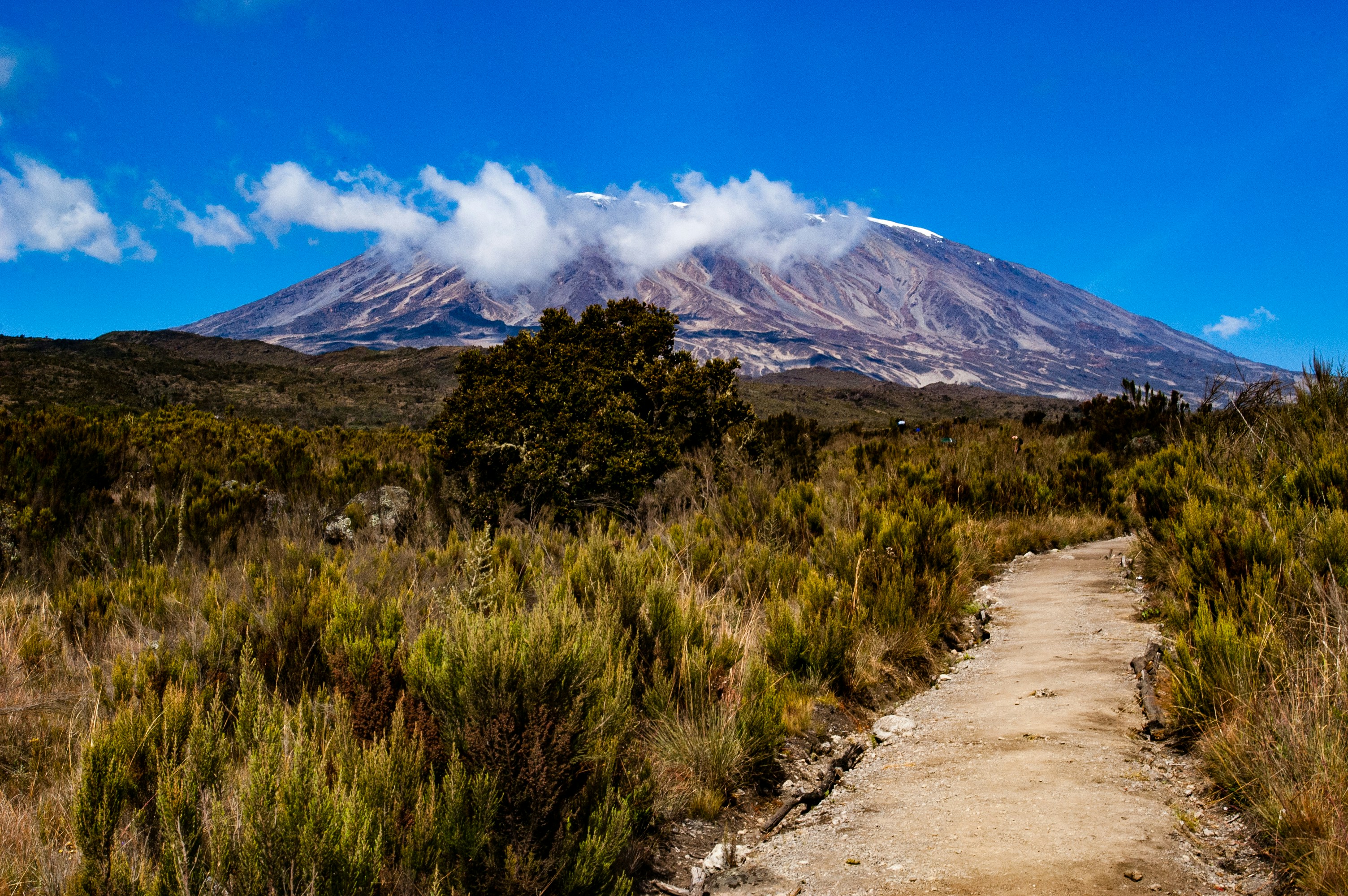 7 Days Kilimanjaro Machame Route – Roshack Adventures Safaris