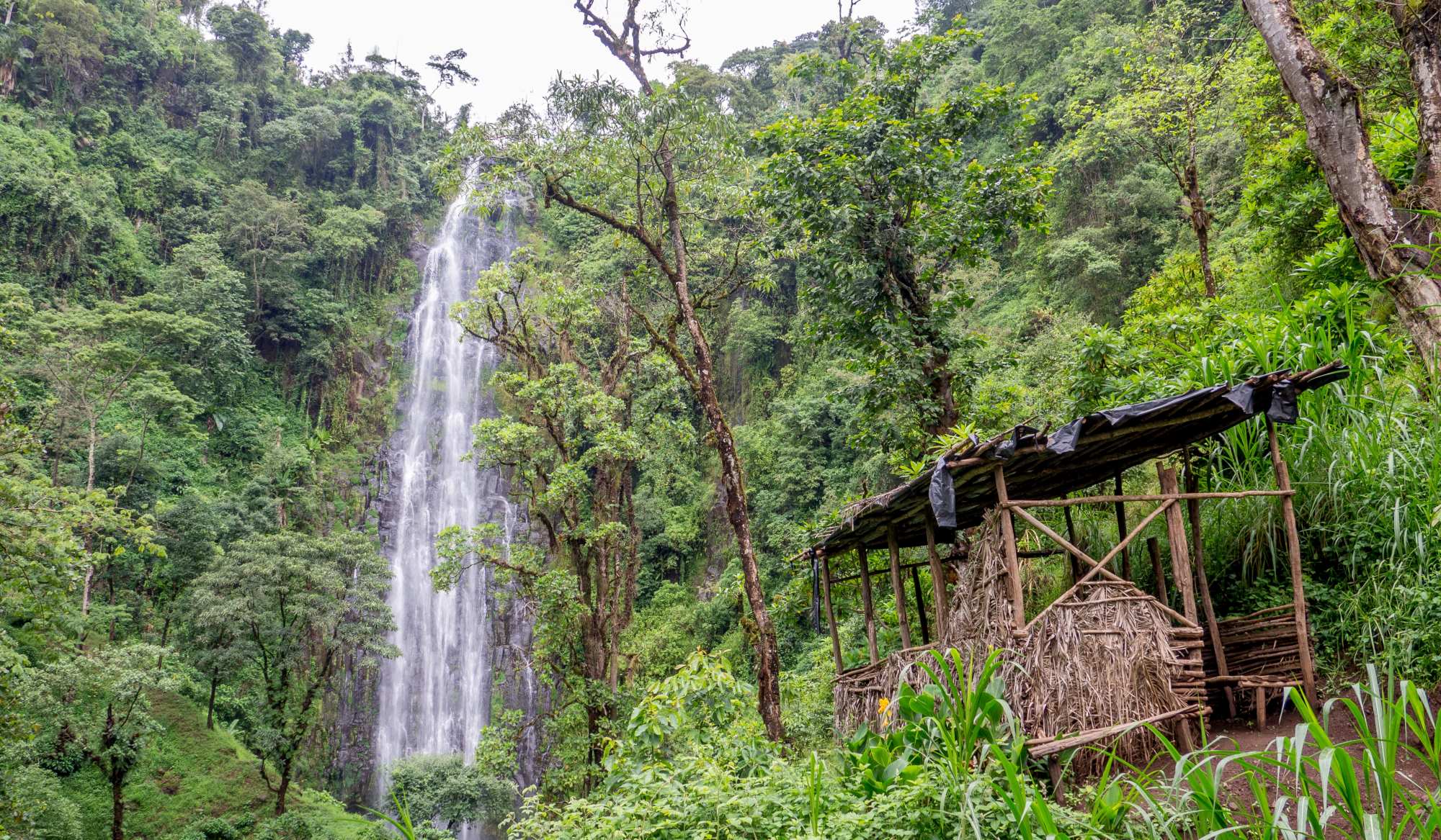 Materuni Waterfall and Coffee Tour Day Trip