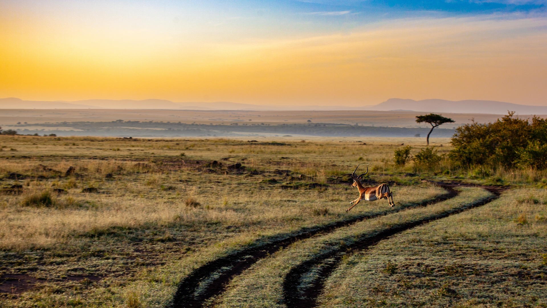 4-Day Mid-Range Safari (Iconic Destinations) – Roshack Adventures Safaris
