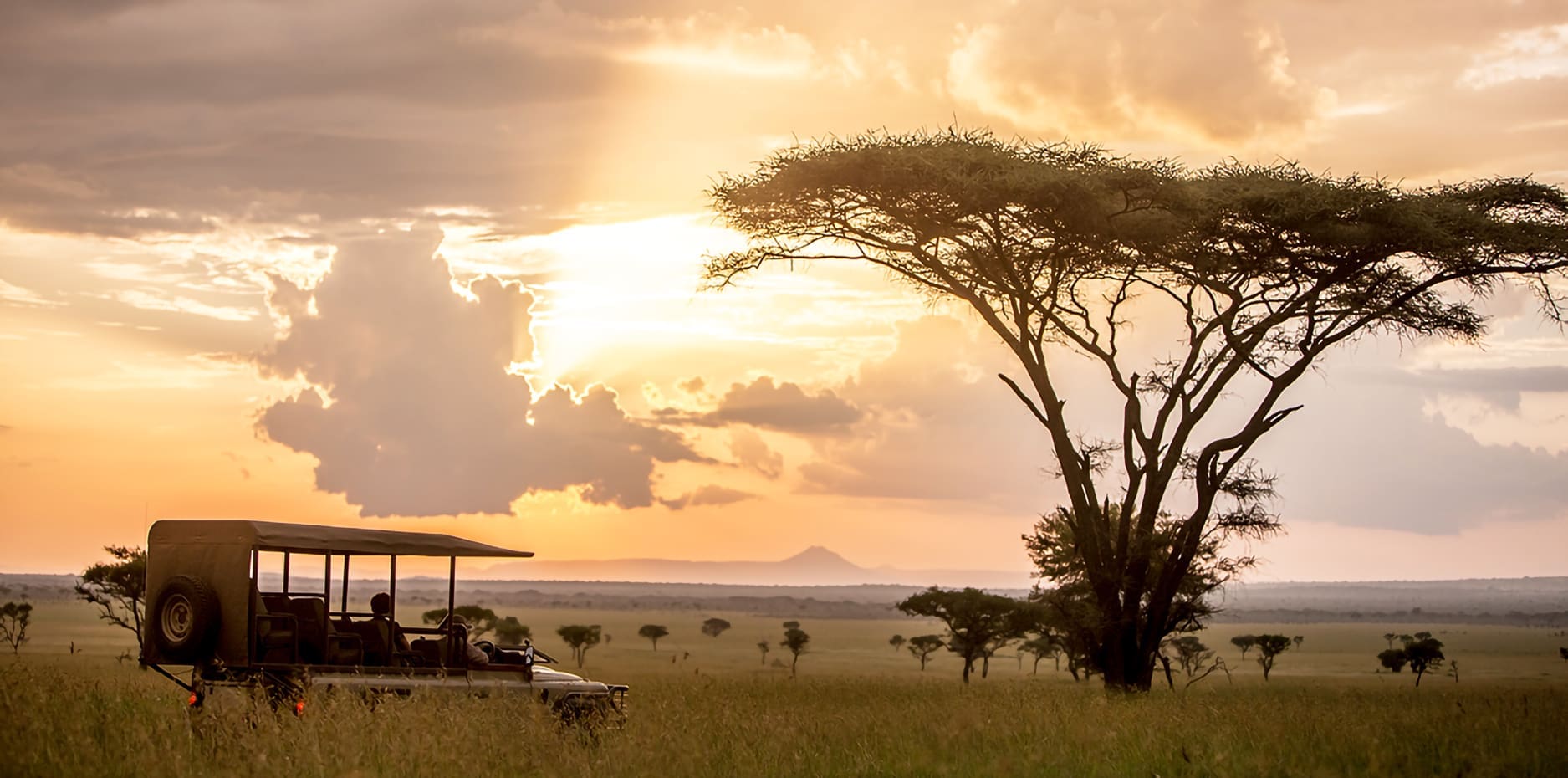 7-Day Southern Tanzania & Zanzibar Bush to Beach Escape - Roshack Adventures Safaris